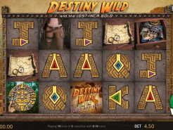 Destiny Wild Slots